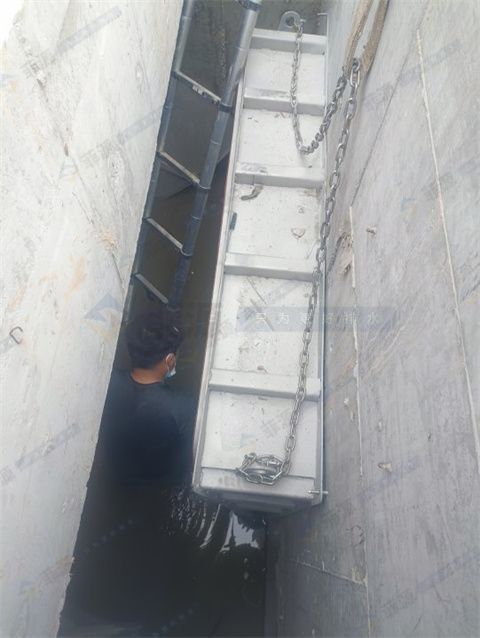 液動旋轉(zhuǎn)堰門工廠案例