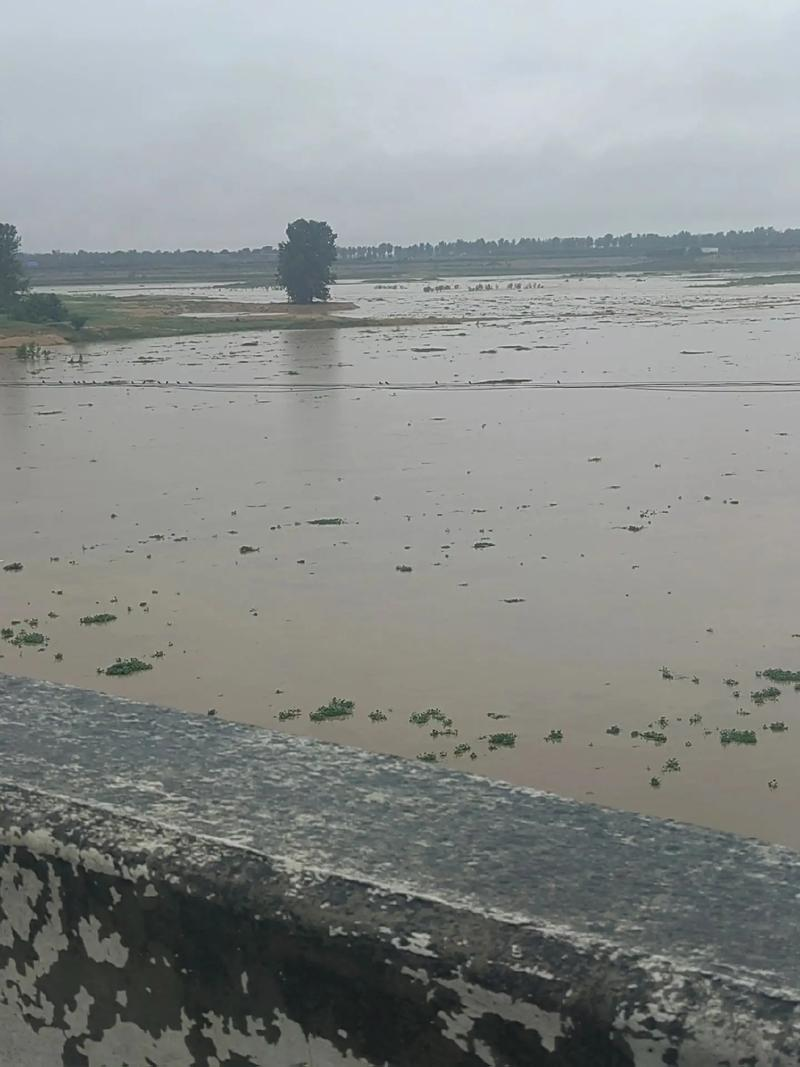 梅雨季節(jié)城市市政排水面臨哪些問題？怎么解決?